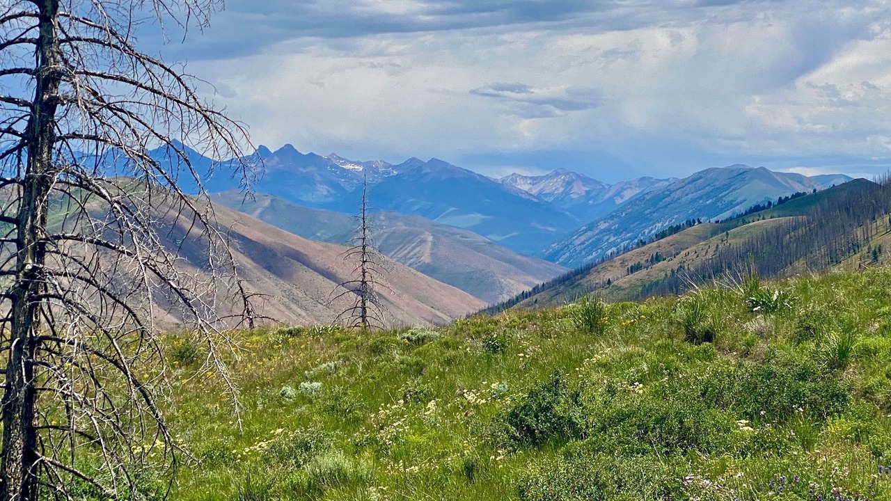 Photo of Outdoor in Hailey