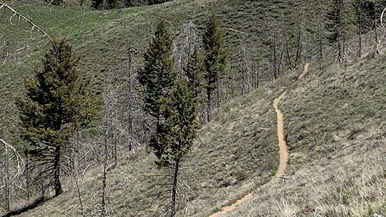 Photo of Outdoor in Hailey