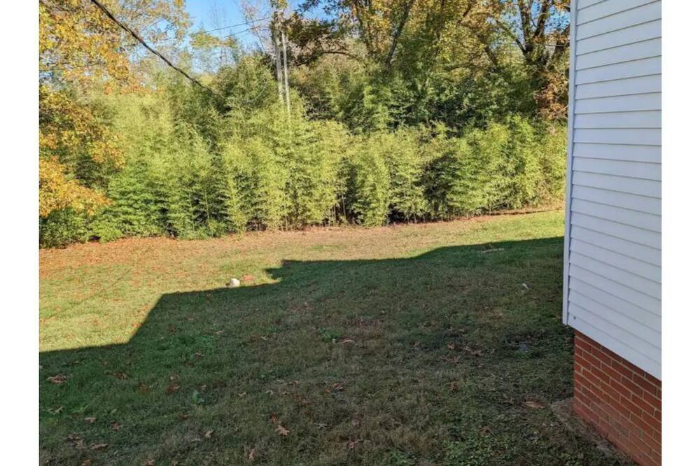 Photo of Outdoor in Michie