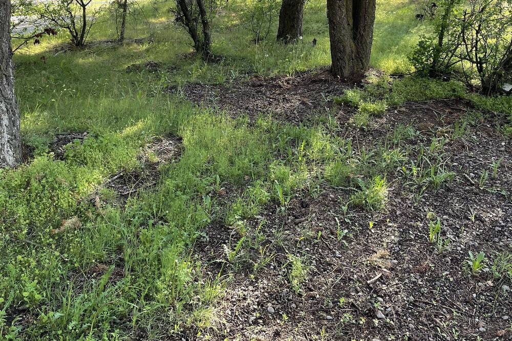 Photo of Outdoor in Post Falls