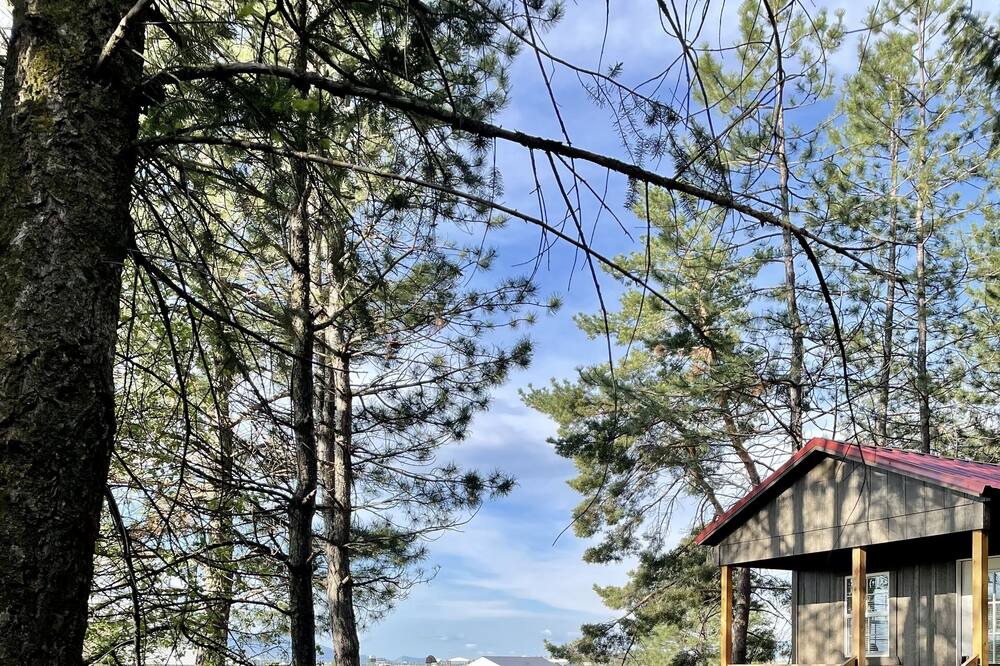 Photo of Outdoor in Post Falls