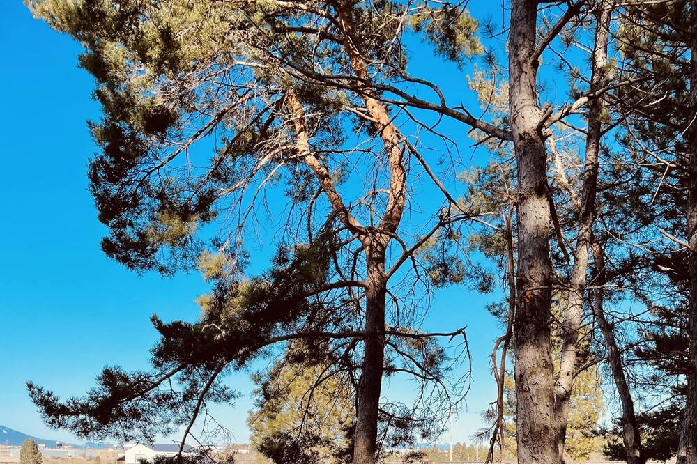 Photo of Outdoor in Post Falls