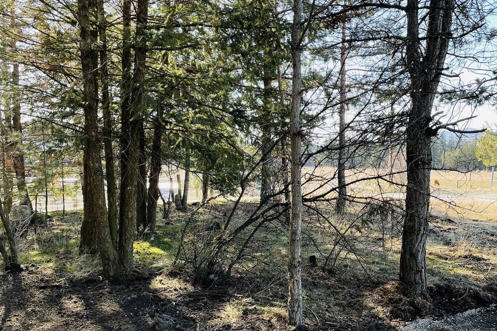 Photo of Outdoor in Post Falls