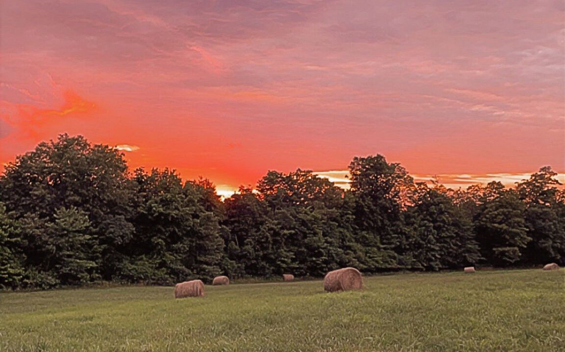 Photo of Others in Deer