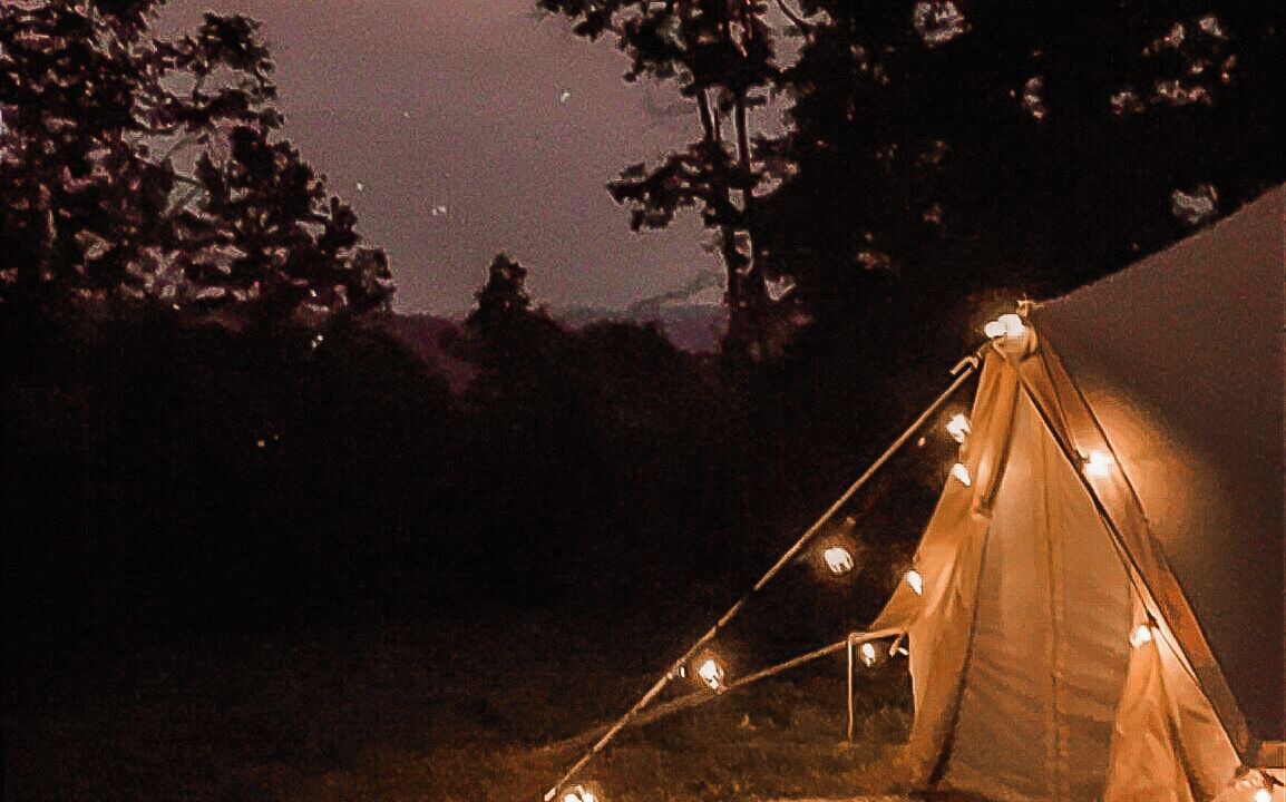Photo of Outdoor in Deer