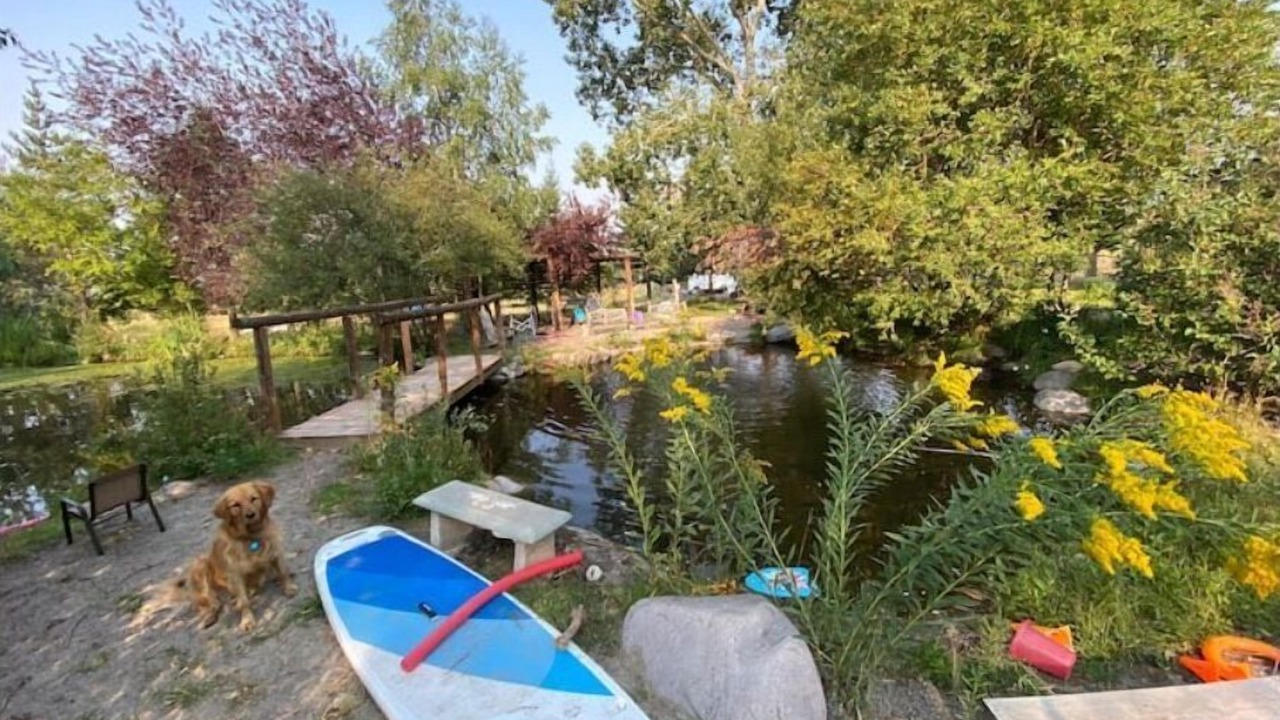 Photo of Outdoor in Belgrade