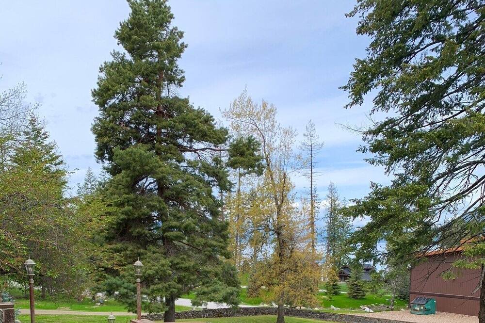 Photo of Outdoor in Hope