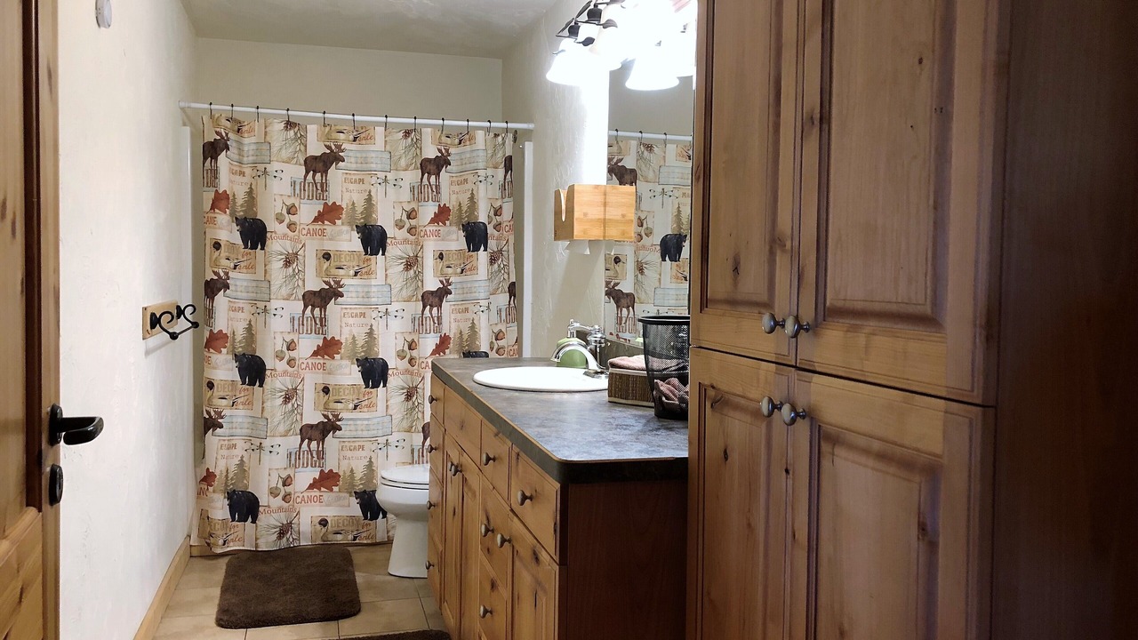 Photo of Bathroom in Island Park