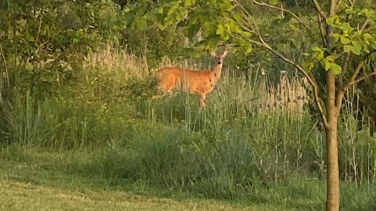 Photo of Outdoor in Marysville