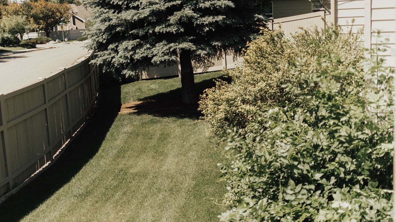 Photo of Outdoor in Billings