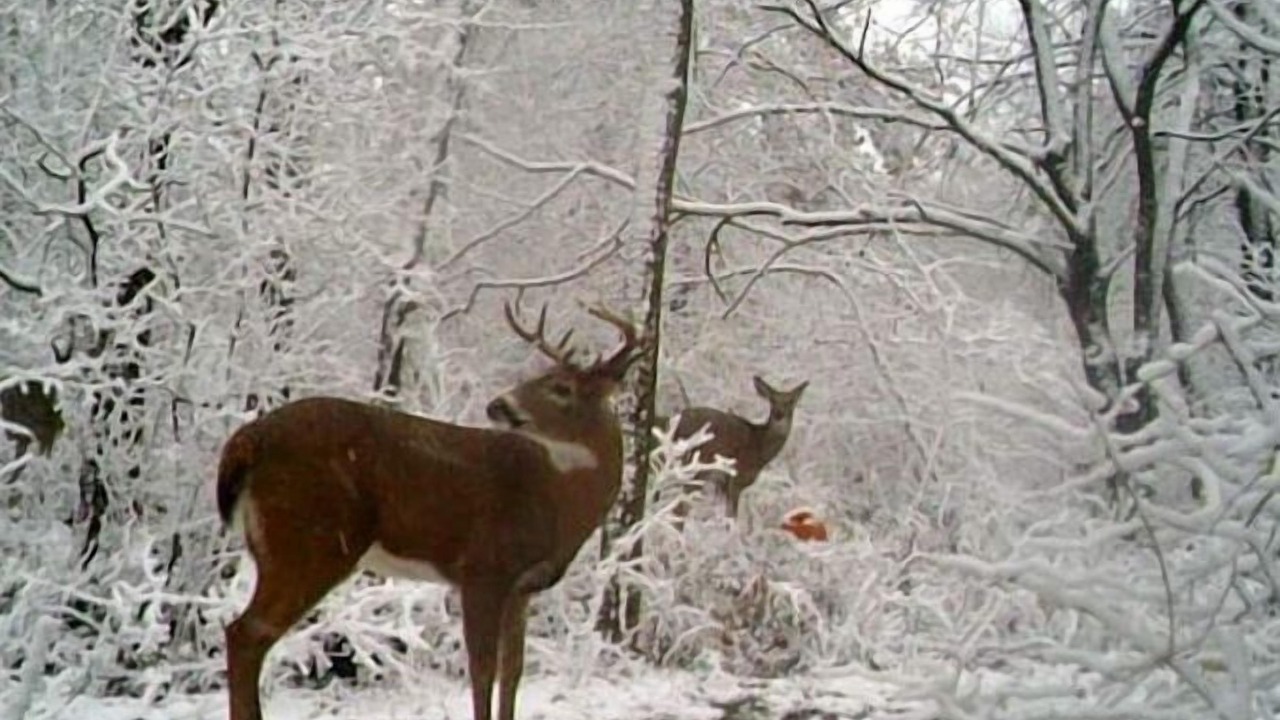 Photo of Outdoor in Marysville
