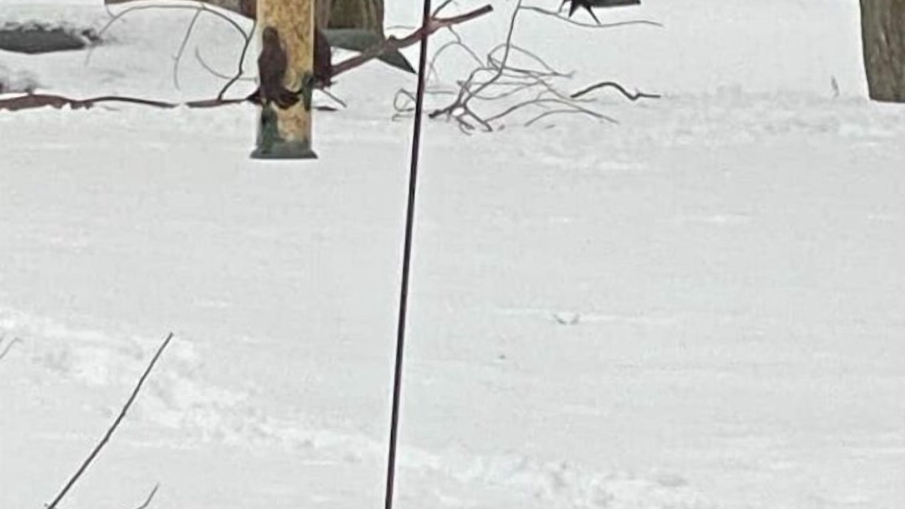Photo of Others in Marysville