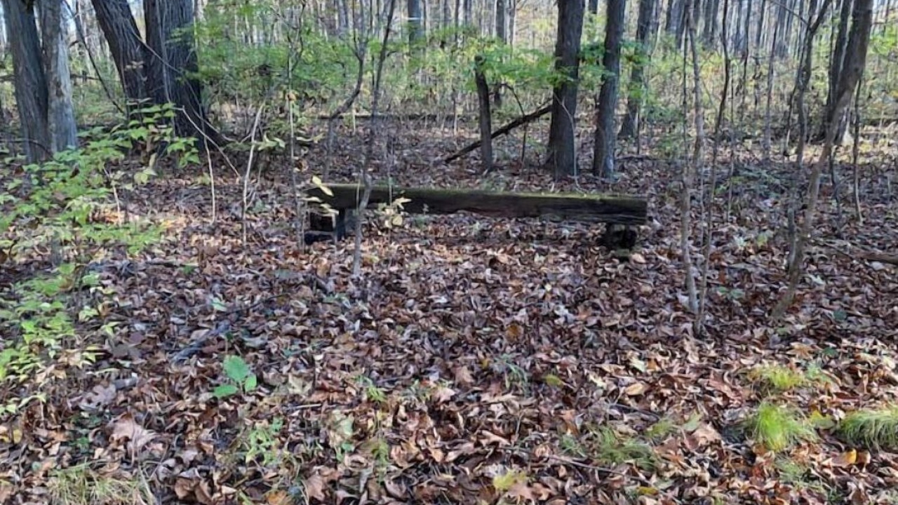Photo of Outdoor in Marysville