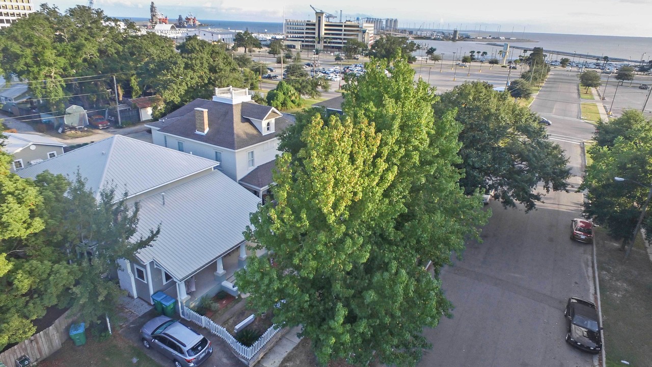 Photo of Others in Gulfport