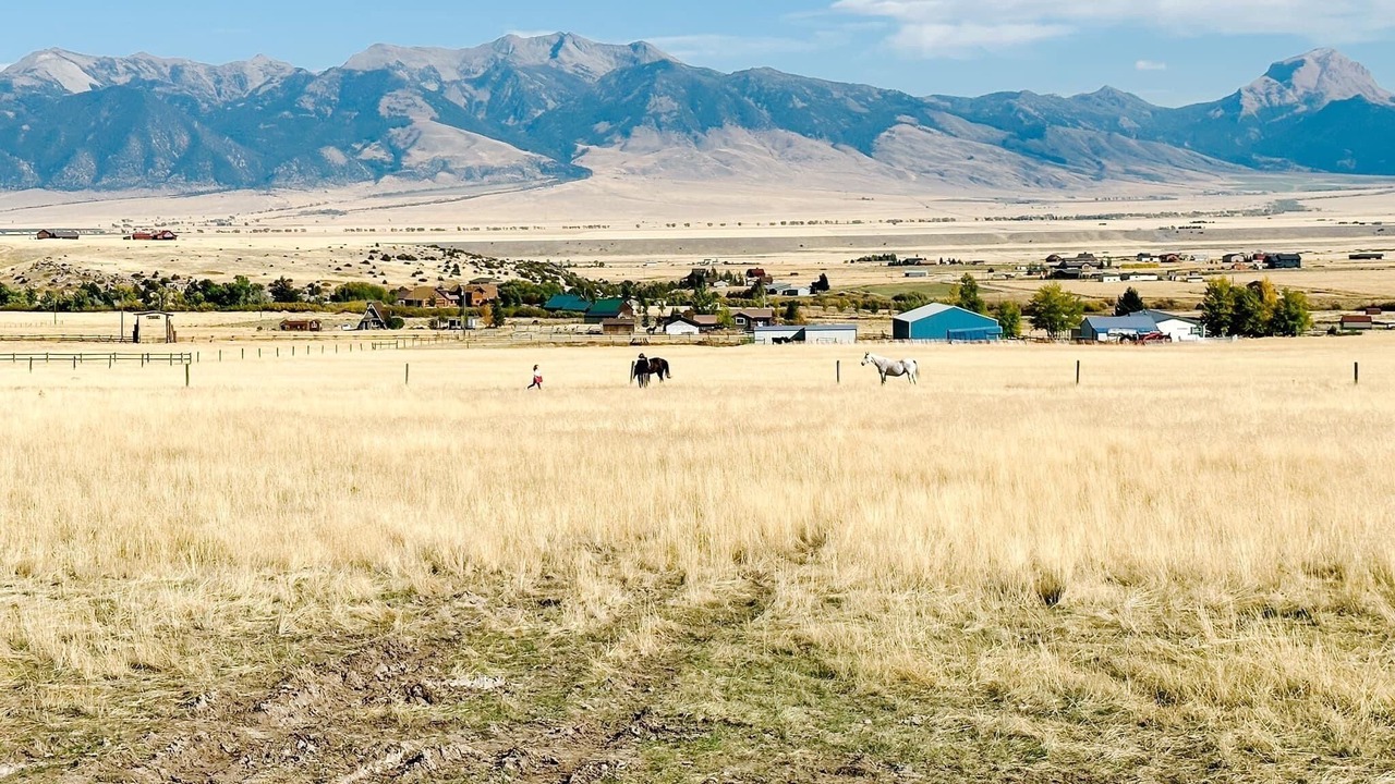 Photo of Others in Shining Mountains