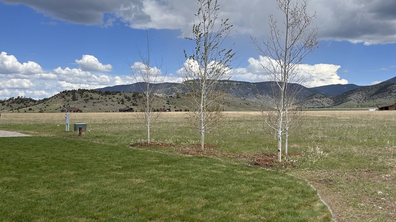 Photo of Outdoor in Livingston