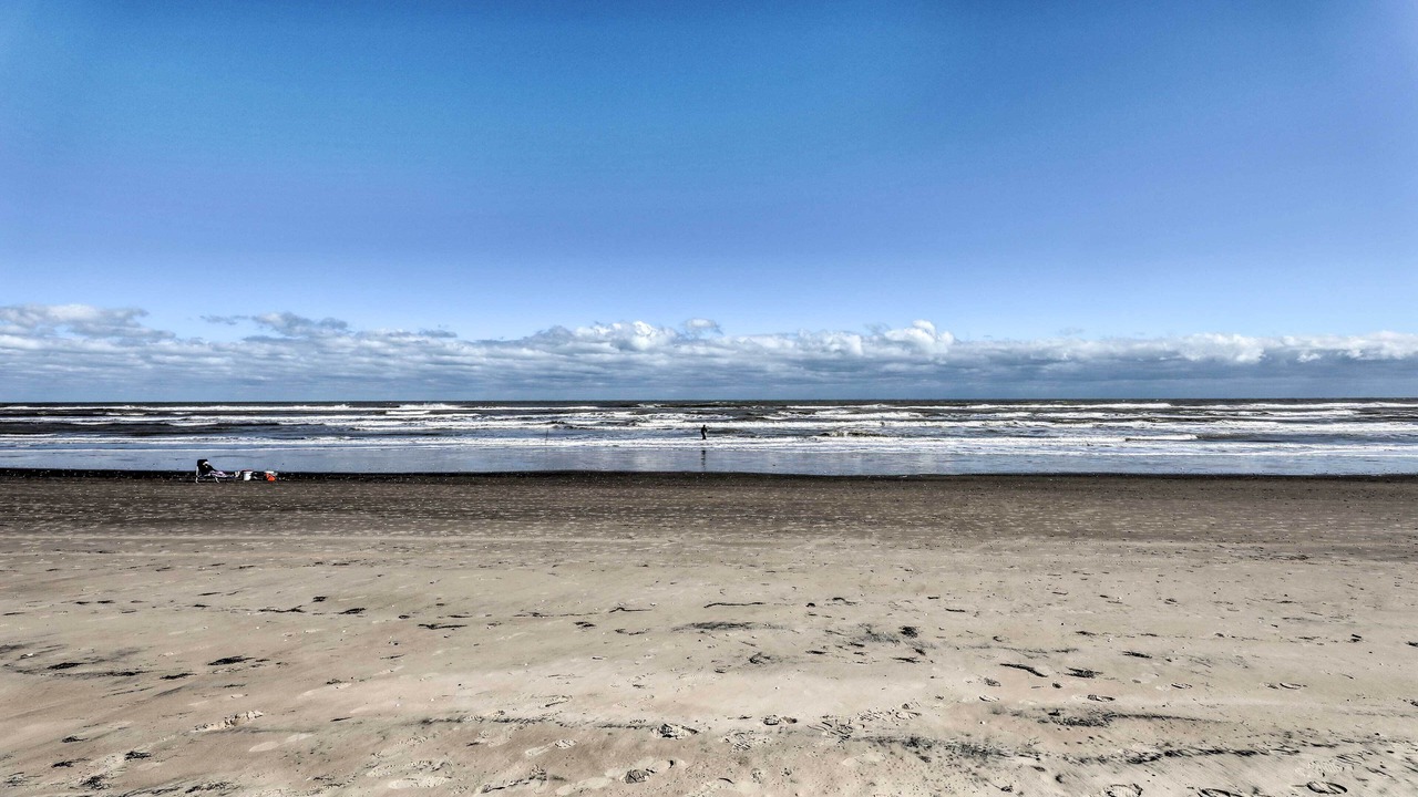Photo of Others in South Padre Island
