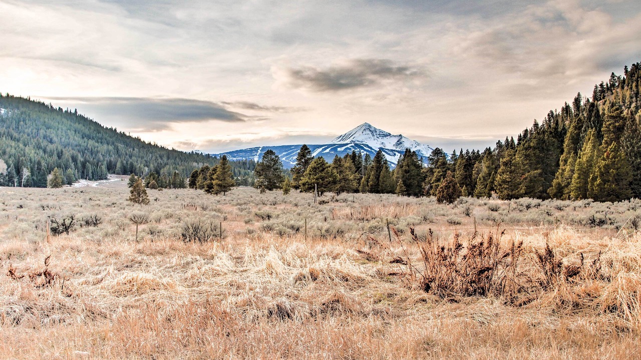 Photo of Others in Big Sky