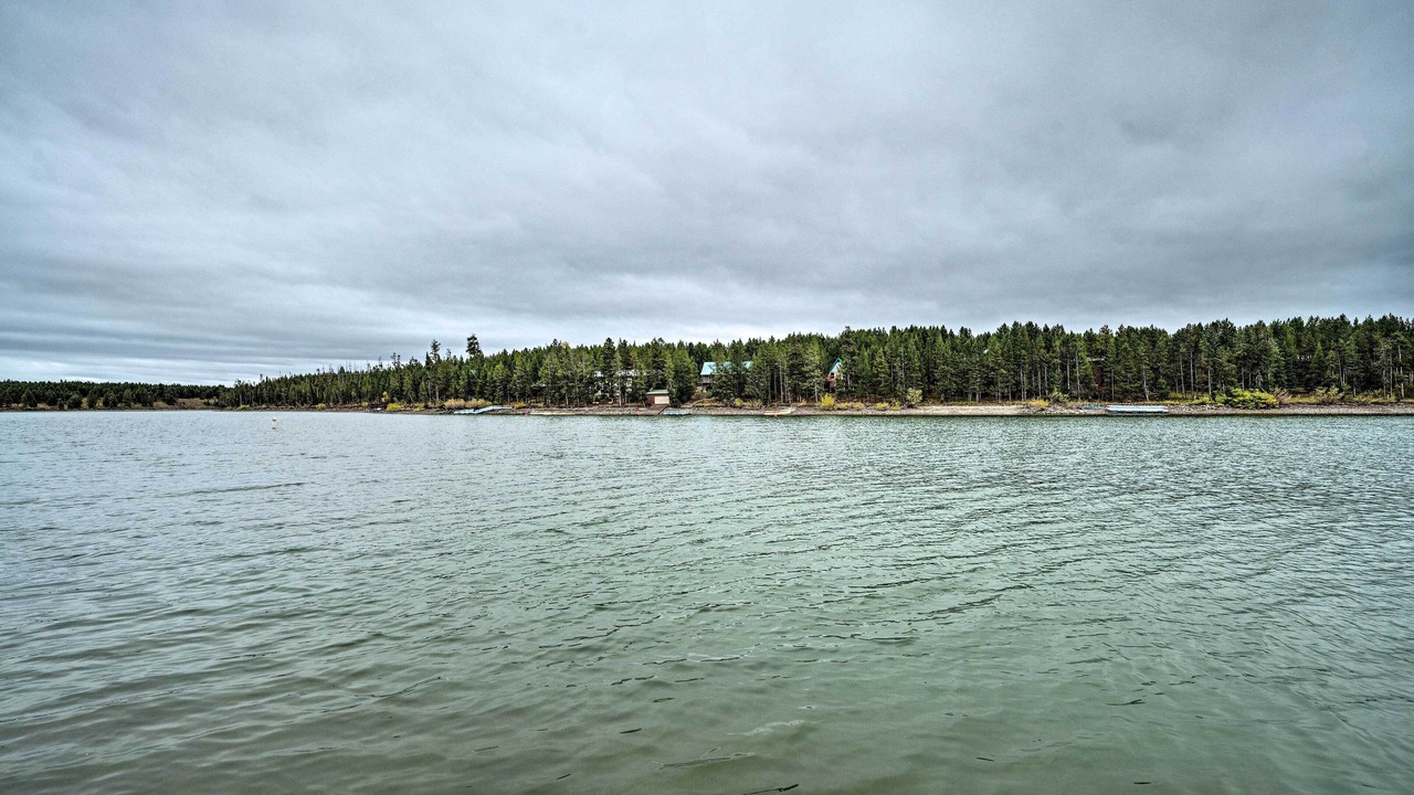 Photo of Others in Island Park