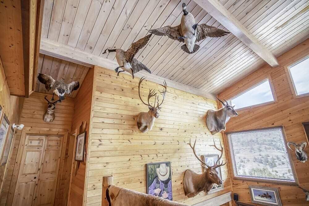 Photo of Patio Balcony in Emigrant