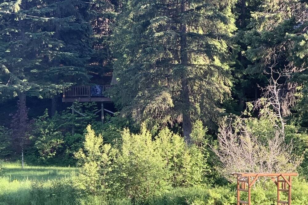 Photo of Others in Priest River