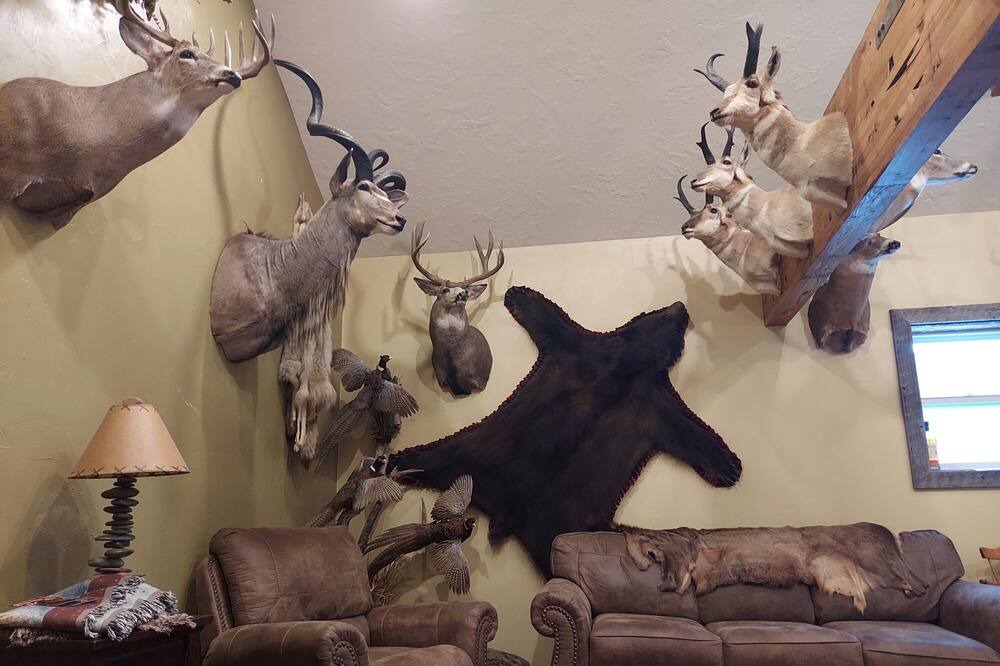 Photo of Livingroom in Geyser