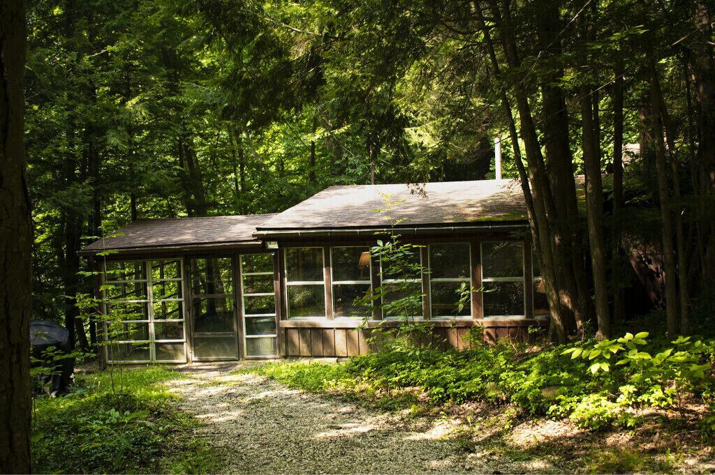 Photo of Outdoor in Bainbridge