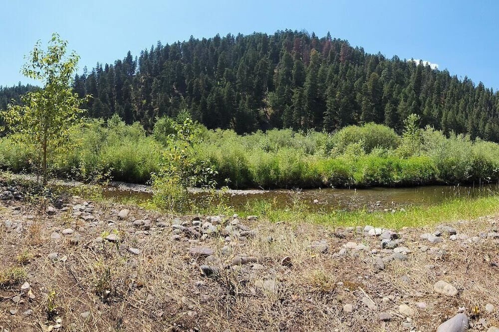 Photo of Others in Clinton