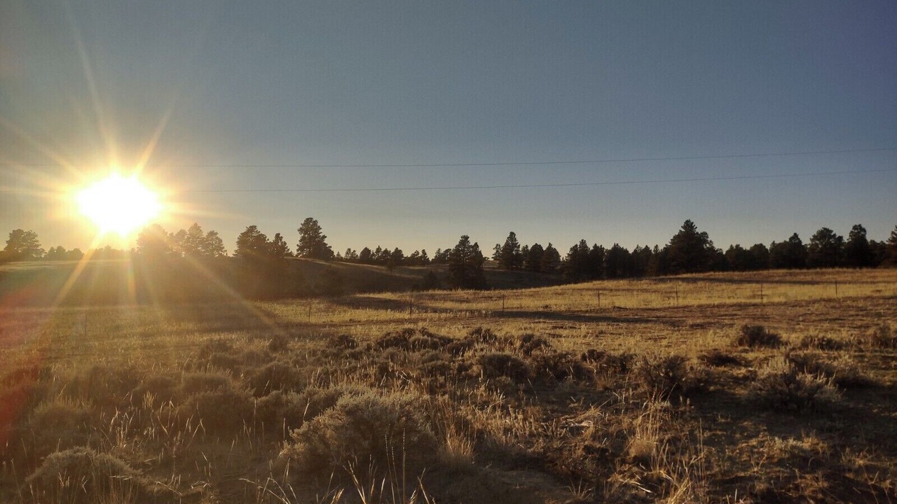 Photo of Outdoor in Roundup