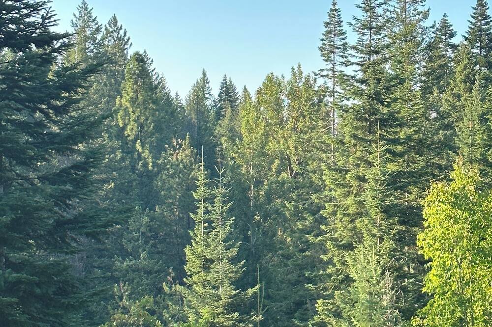 Photo of Outdoor in Hayden Lake