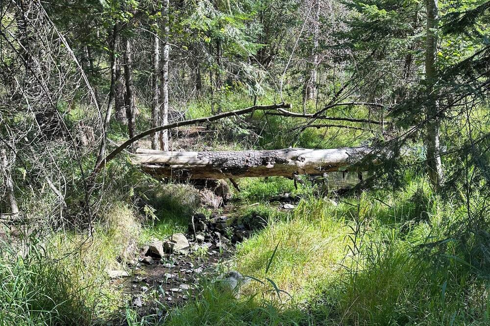 Photo of Outdoor in Hayden Lake
