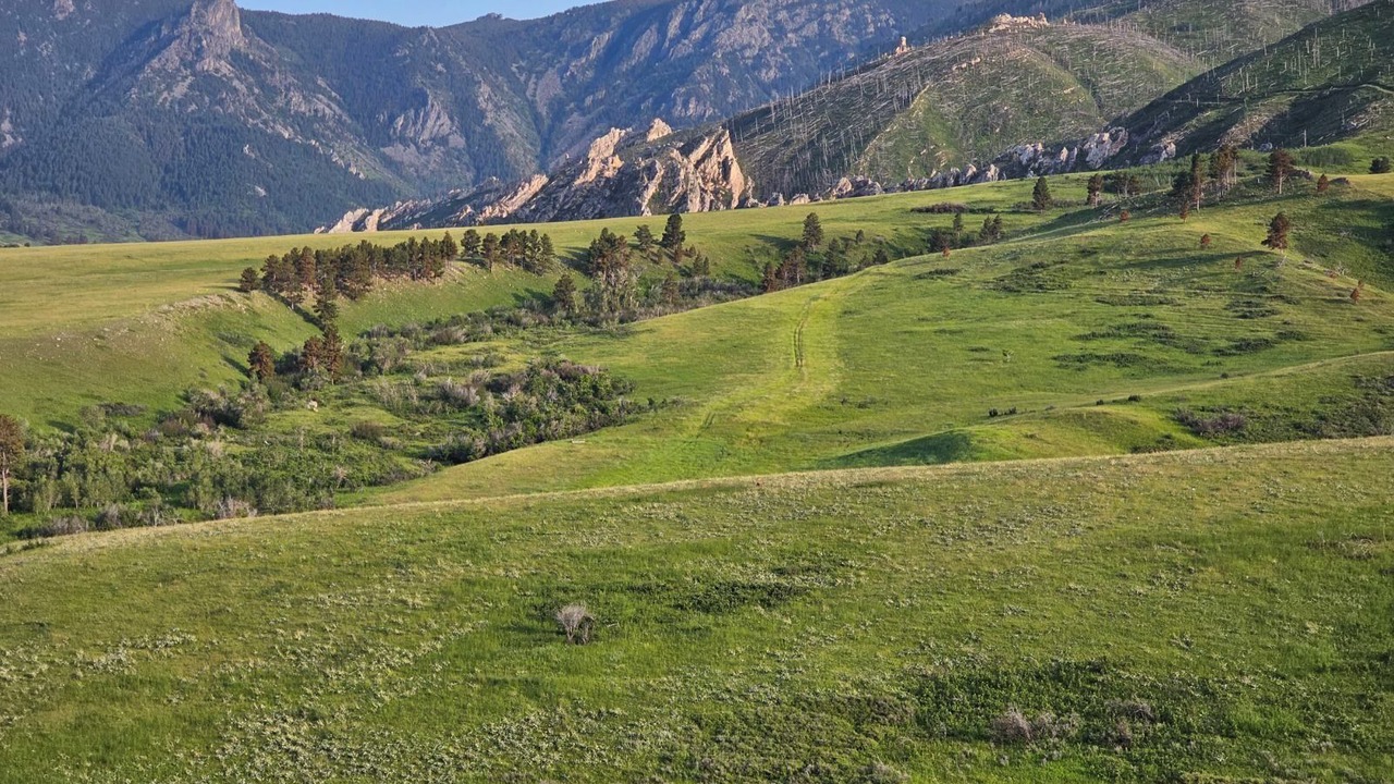 Photo of Outdoor in Story