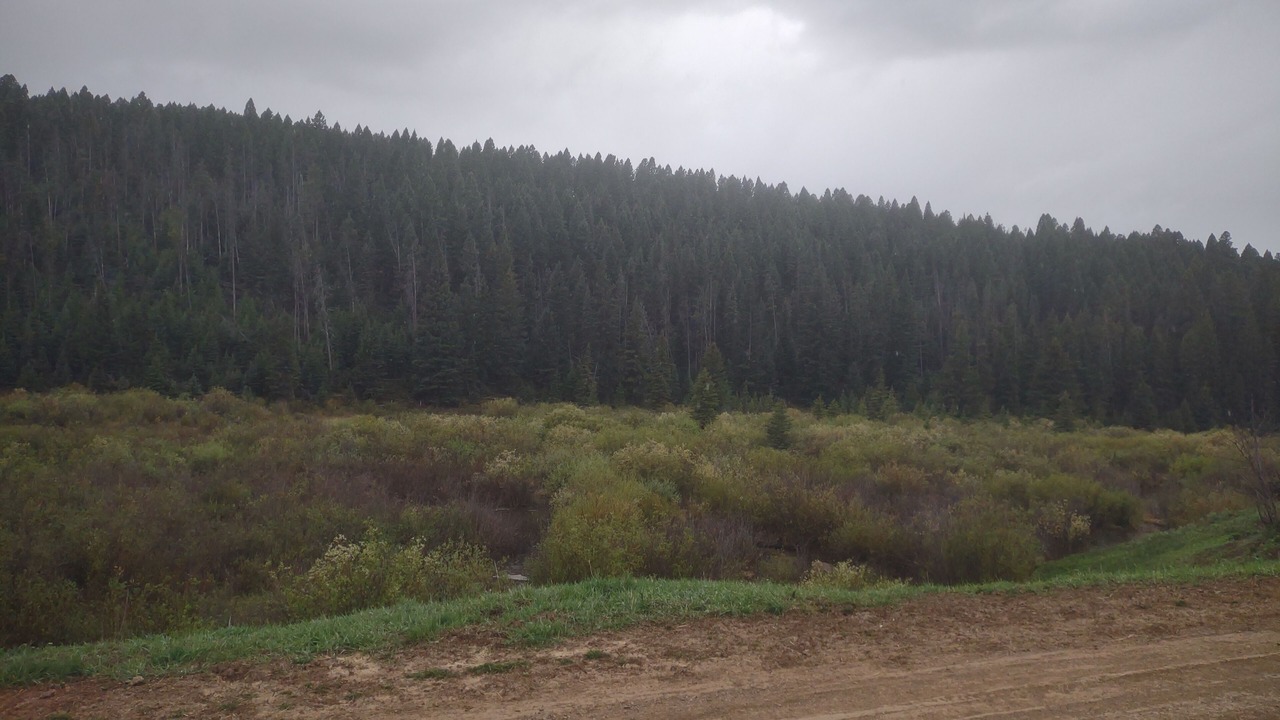 Photo of Outdoor in White Sulphur Springs