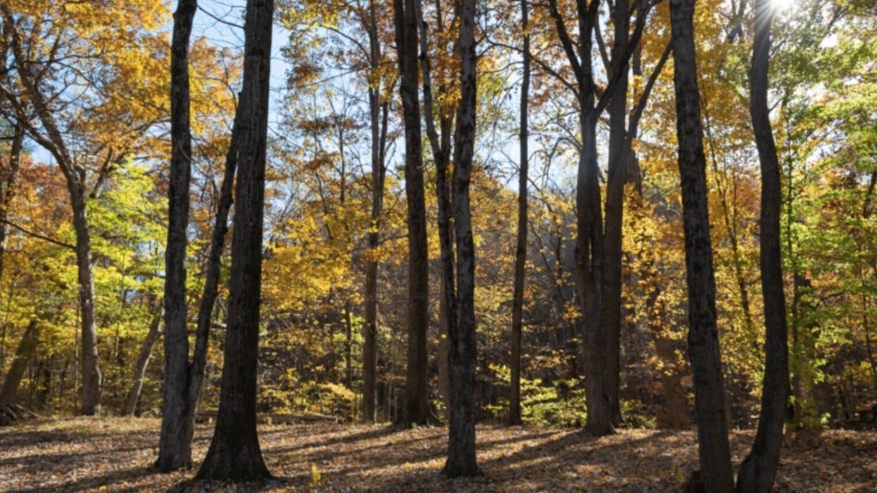Photo of Outdoor in Cuyahoga Falls