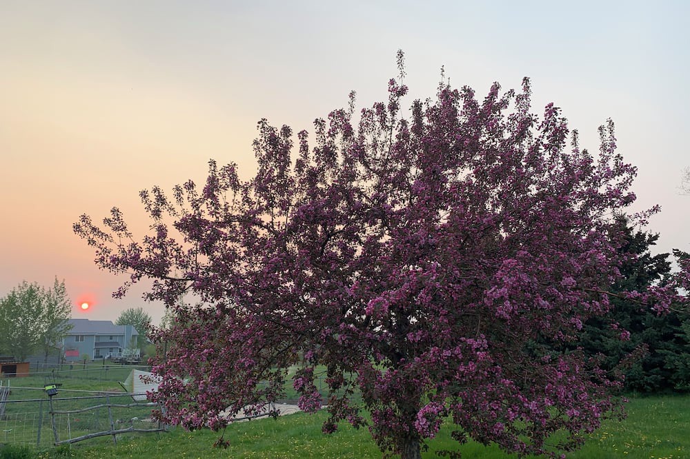 Photo of Outdoor in Bozeman