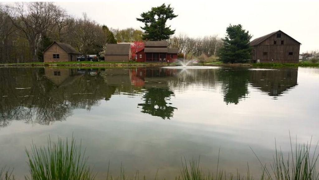 Photo of Outdoor in Dundee