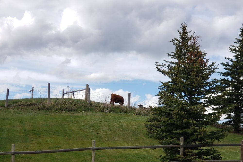 Photo of Others in White Sulphur Springs