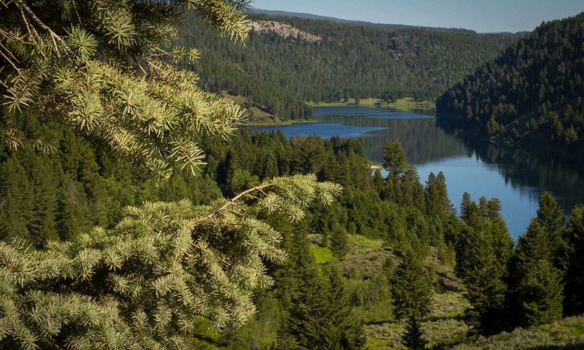 Photo of Outdoor in Dillon