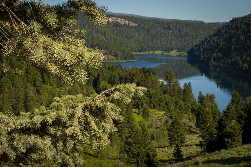 Photo of Outdoor in Dillon