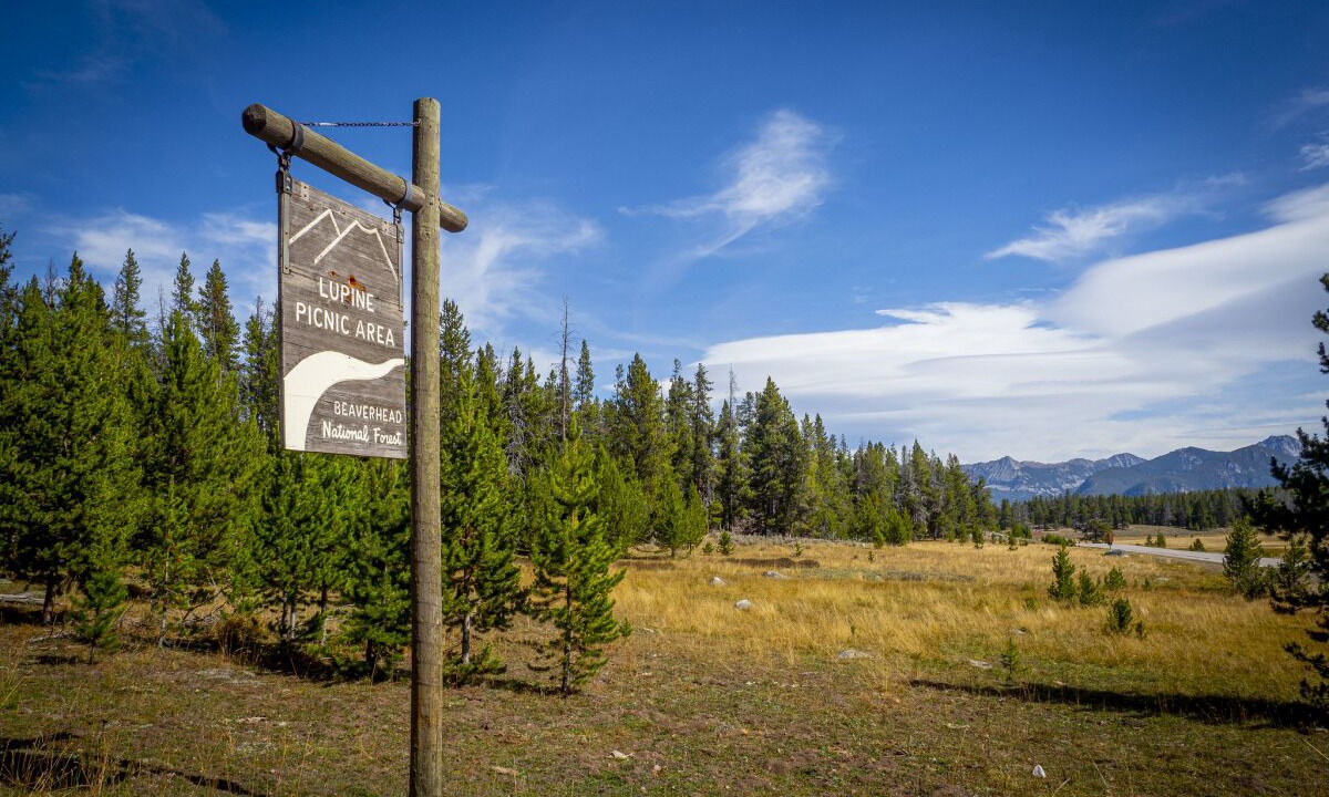 Photo of Outdoor in Dillon