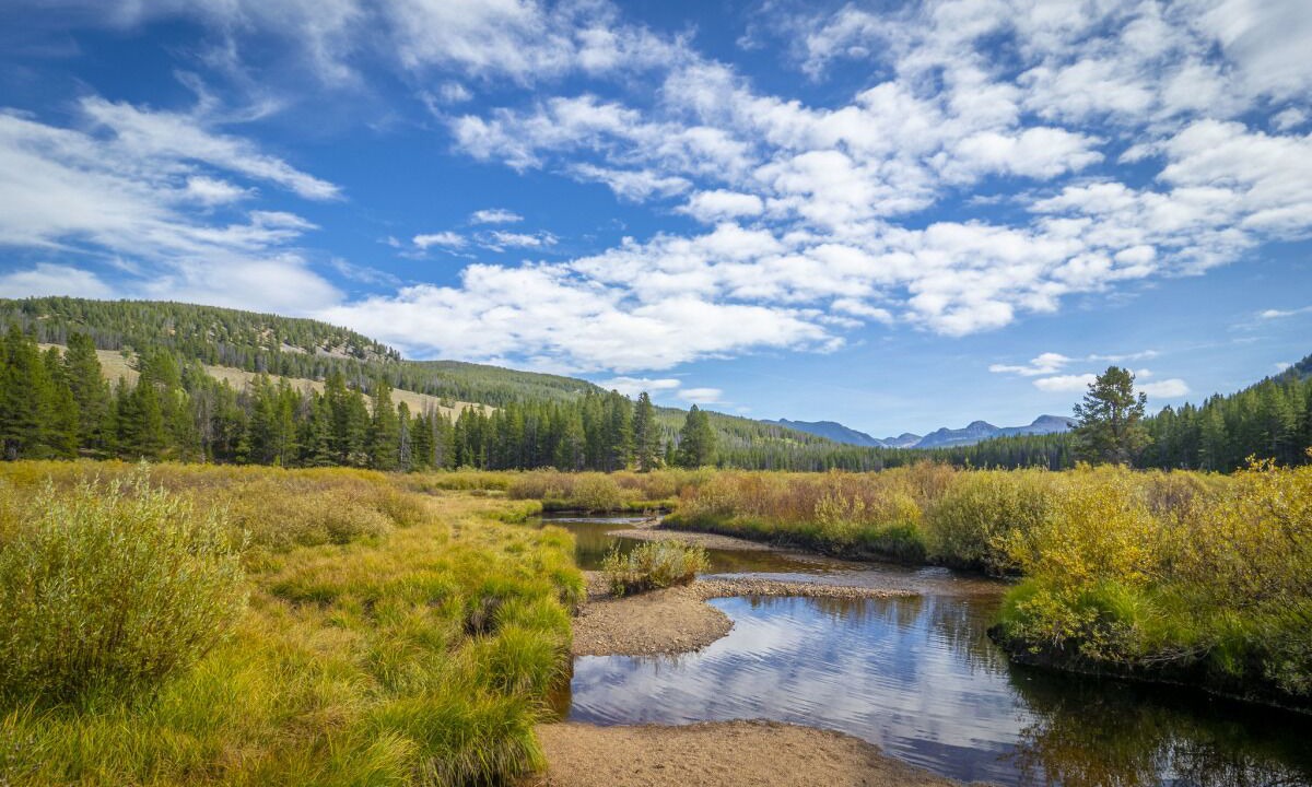 Photo of Outdoor in Dillon