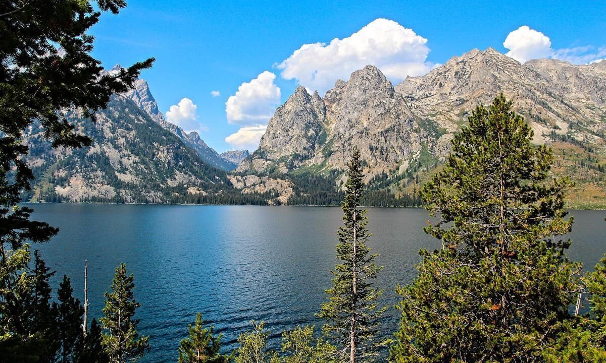 Photo of Outdoor in Moran