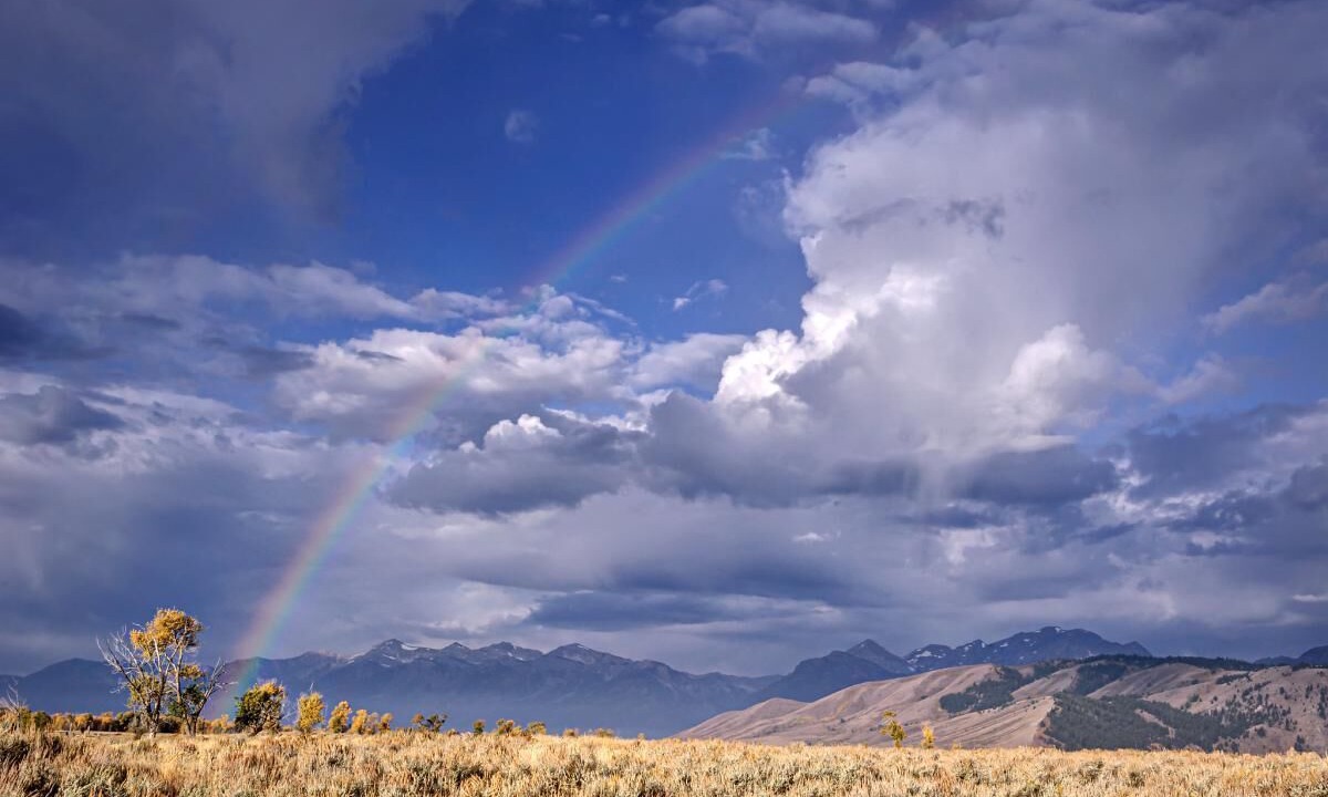 Photo of Outdoor in Moran