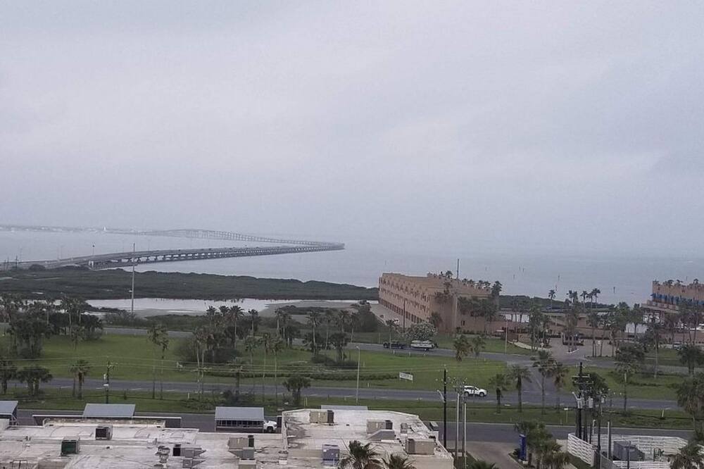 Photo of Others in South Padre Island