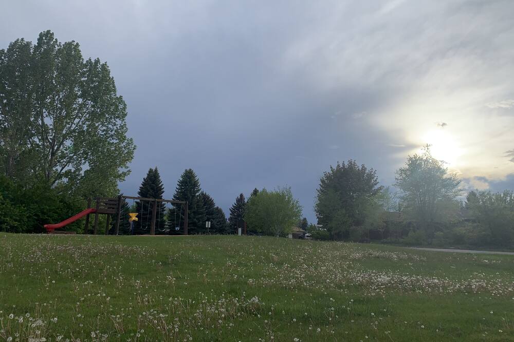 Photo of Others in Evergreen