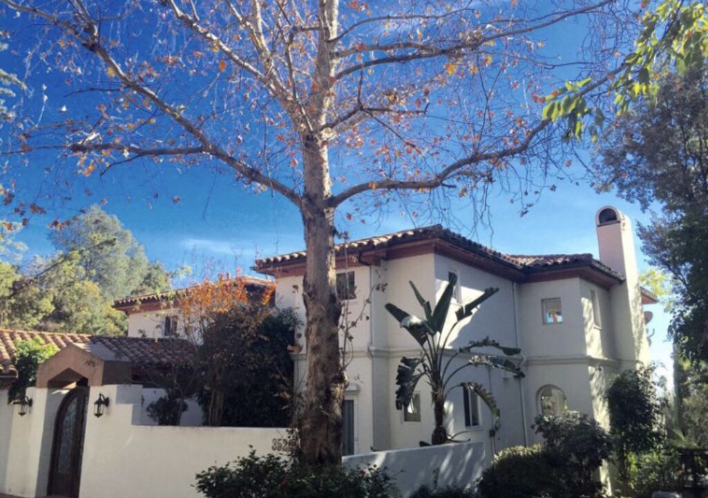 Photo of Outdoor in Mount Wilson