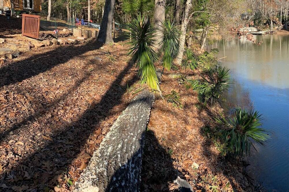 Photo of Outdoor in Lake Wylie
