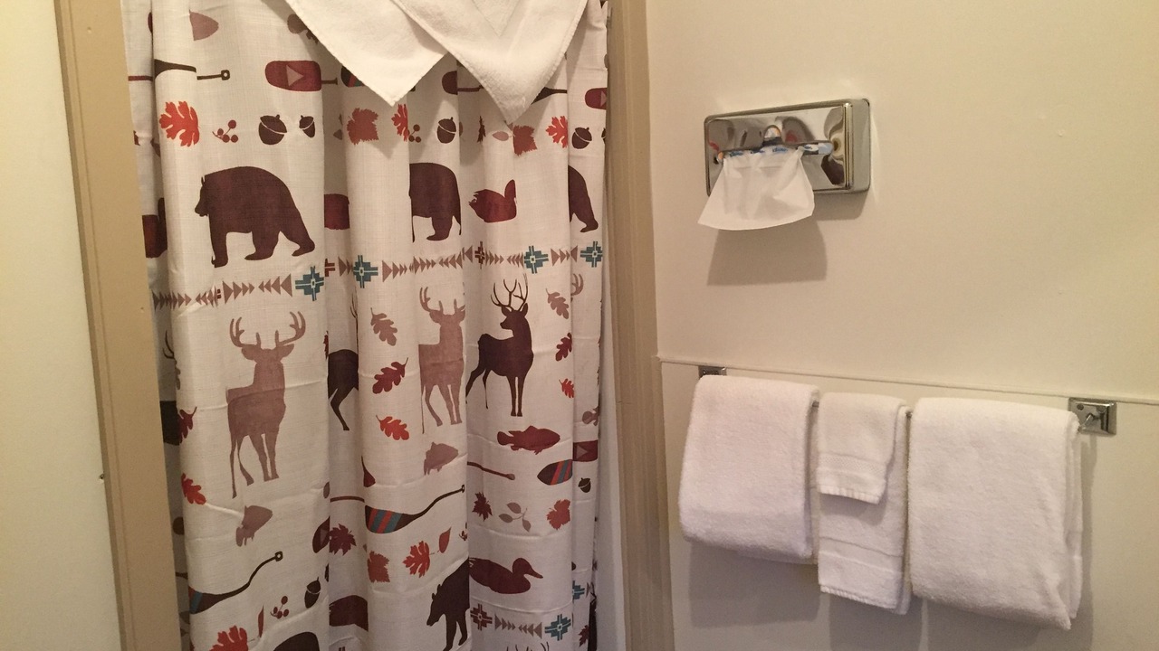 Photo of Bathroom in Buffalo