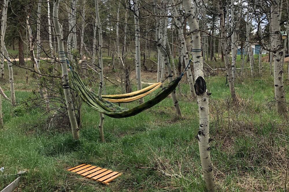 Photo of Outdoor in Red Feather Lakes