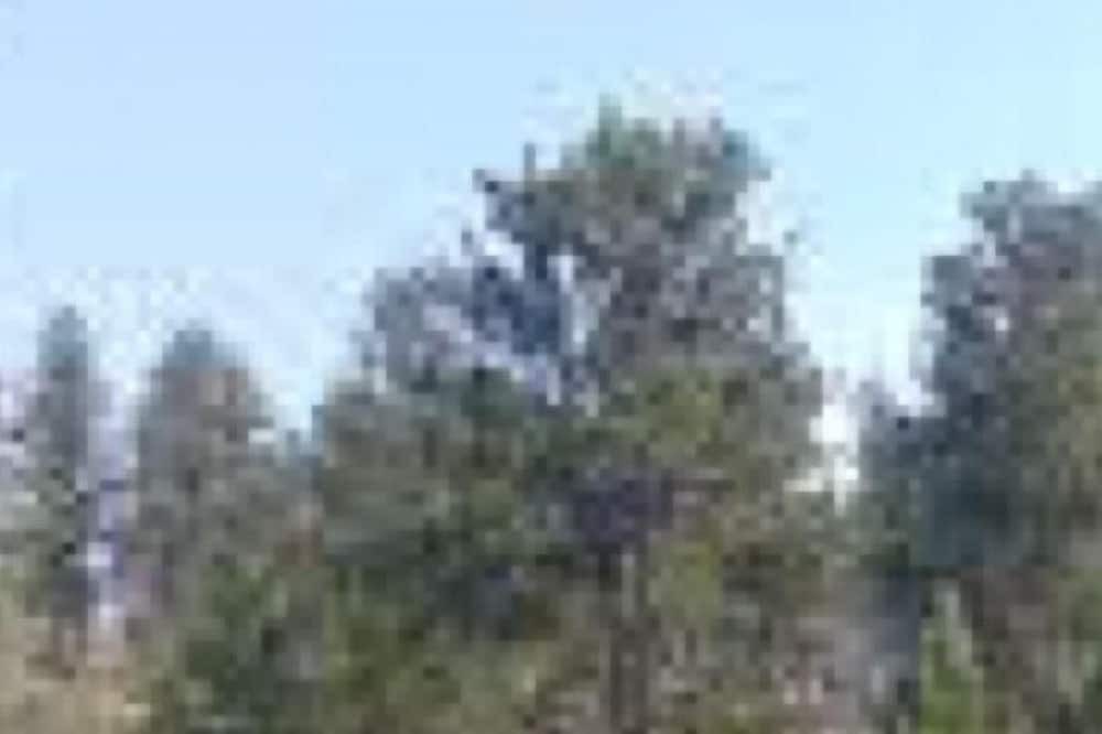 Photo of Outdoor in Red Feather Lakes